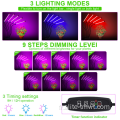 Faire pousser la lumière avec 3 modes lampe à LED